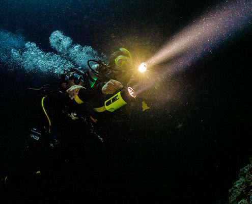 Night Diver