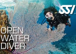 SSI Open Water Diver