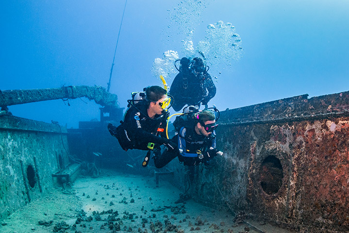 Wreck Diver